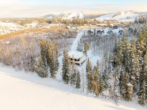 Property building, Bird's eye view