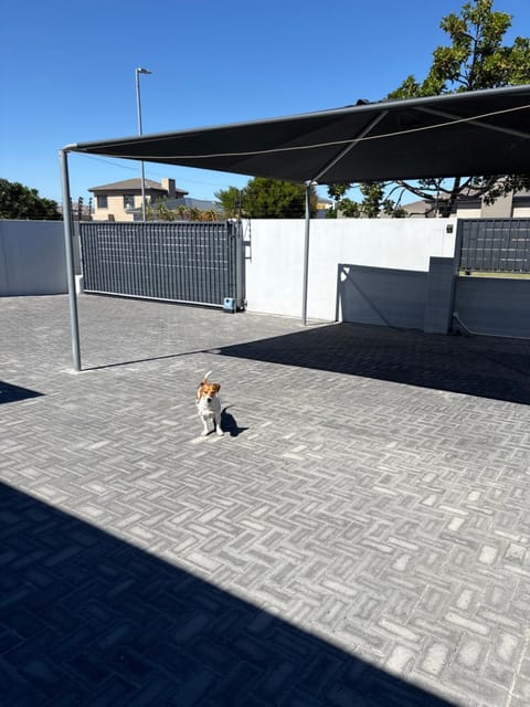 Studio Apartment in Cape Town Bed and Breakfast in Cape Town