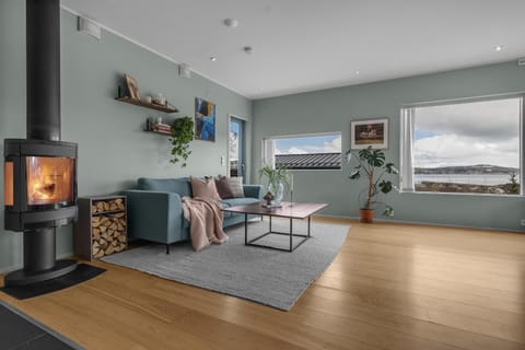 Living room, Seating area, Mountain view, fireplace