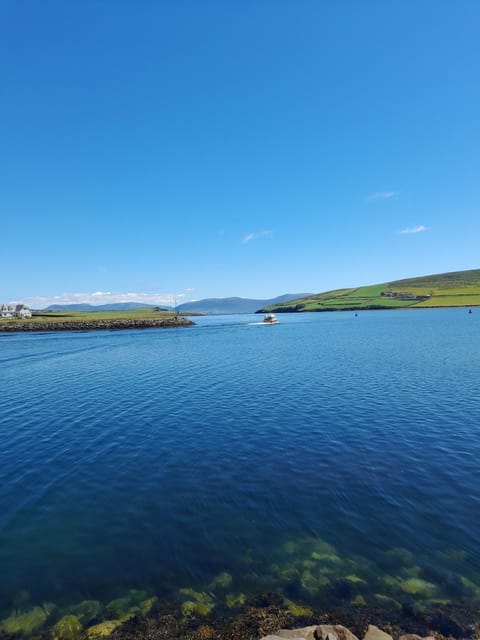 The Colony Townhouse Dingle House in Dingle