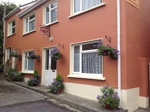 The Colony Townhouse Dingle House in Dingle