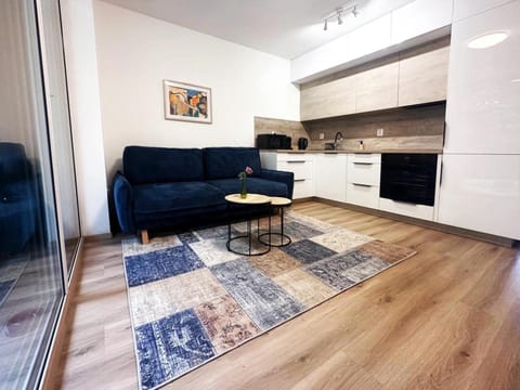 Kitchen or kitchenette, Living room, Seating area, oven, stove