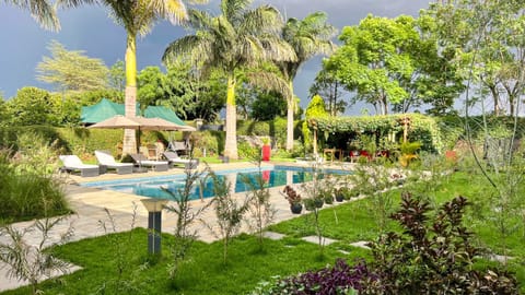 Natural landscape, Garden, Garden view, Pool view, Swimming pool, sunbed