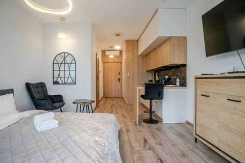 Bed, TV and multimedia, Kitchen or kitchenette, Living room, Photo of the whole room