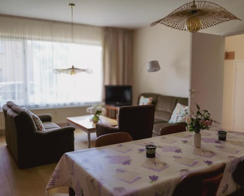 Appartement Pyra Cantha Apartment in Zeeland, Netherlands