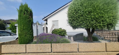 Property building, Spring, Day, Garden, Garden view, Parking