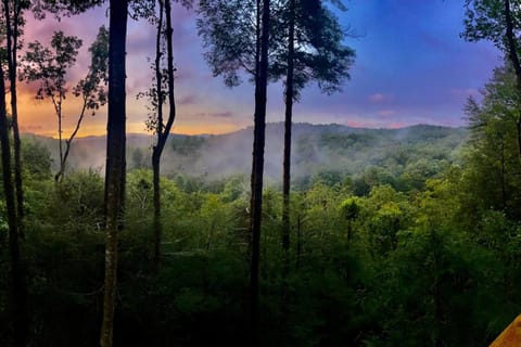 Family Lodge - Hot Tub-Theater-Game Room-Fire Pit House in Georgia