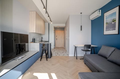TV and multimedia, Seating area, Evening entertainment, air conditioner