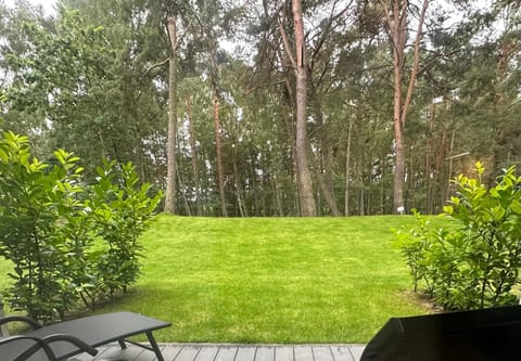 Natural landscape, Garden, Garden view