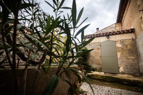 Patio, Garden view