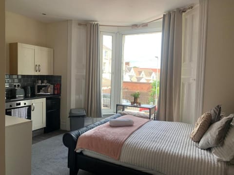 155 Studio 1 - Uplands Apartment in Swansea