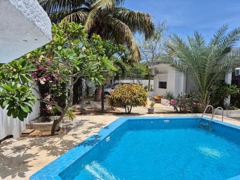 Garden, Swimming pool