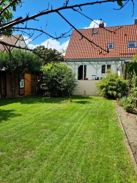 Property building, Spring, Day, Garden