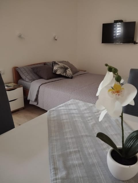 Bed, TV and multimedia