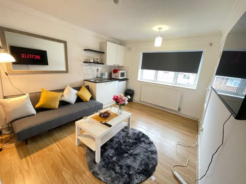 Cosy Studio Apartment in Stevenage