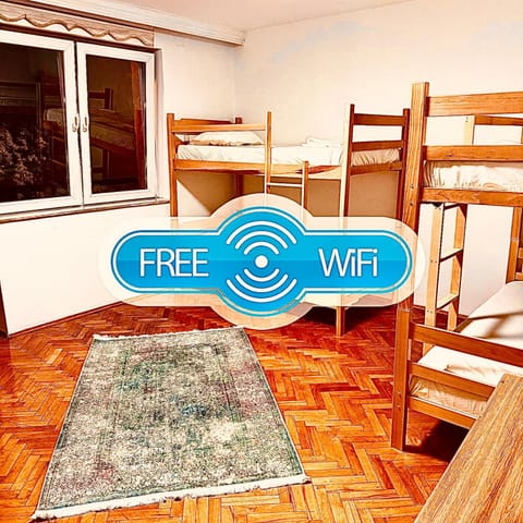 Bed, Photo of the whole room, Bedroom, bunk bed