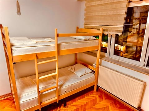 Bed, Photo of the whole room, bunk bed