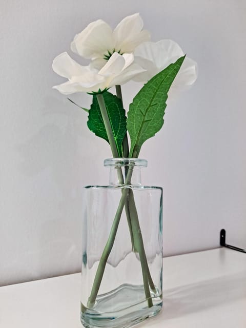 South Loop Rooftop With In and Out Parking 2 Apartment in South Loop