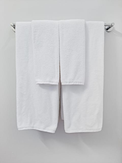 South Loop Rooftop With In and Out Parking 2 Apartment in South Loop