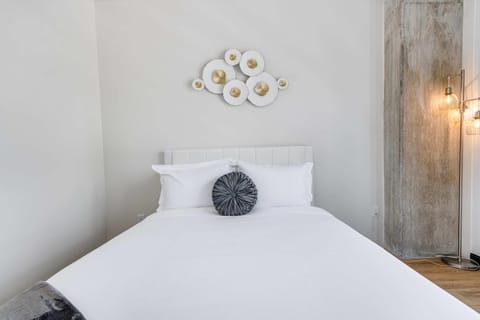 South Loop Rooftop With In and Out Parking 3 Apartment in South Loop