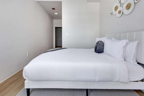 South Loop Rooftop With In and Out Parking 3 Apartment in South Loop