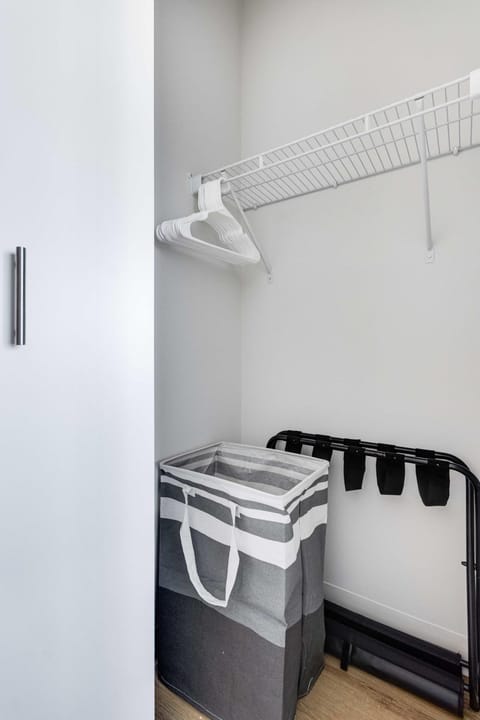 South Loop Rooftop With In and Out Parking 3 Apartment in South Loop