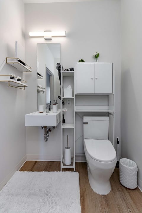 South Loop Rooftop With In and Out Parking 3 Apartment in South Loop