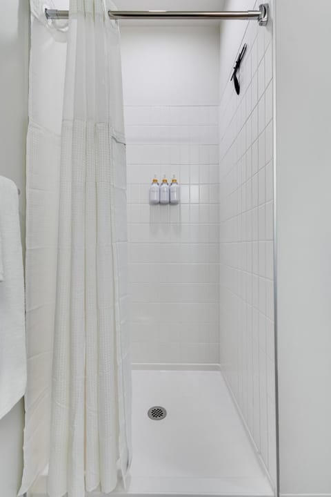 South Loop Rooftop With In and Out Parking 3 Apartment in South Loop