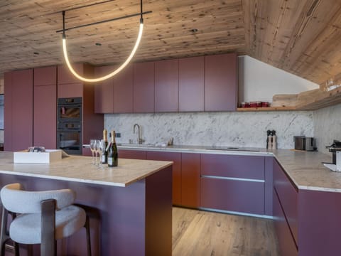 Duplex neuf avec sauna et accès aux pistes à Méribel - FR-1-565-130 Apartment in Les Allues