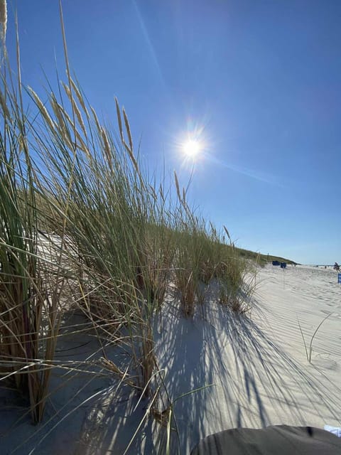 Apartamenty Babie Lato Apartment in Pomeranian Voivodeship