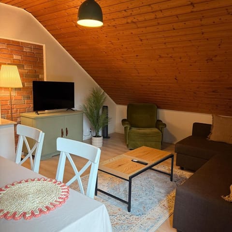 Holziges Dachgeschoss-Apartment Apartment in Karlsruhe