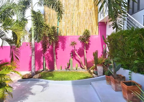 Spring, Day, Garden, Garden view