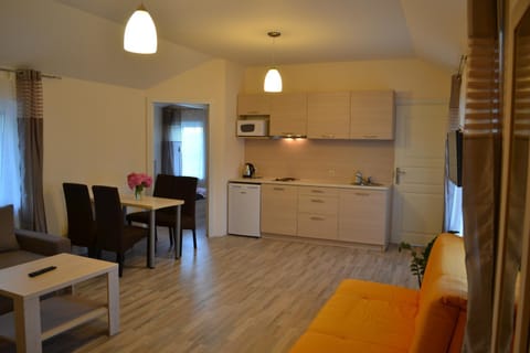 Kitchen or kitchenette, Living room, Photo of the whole room