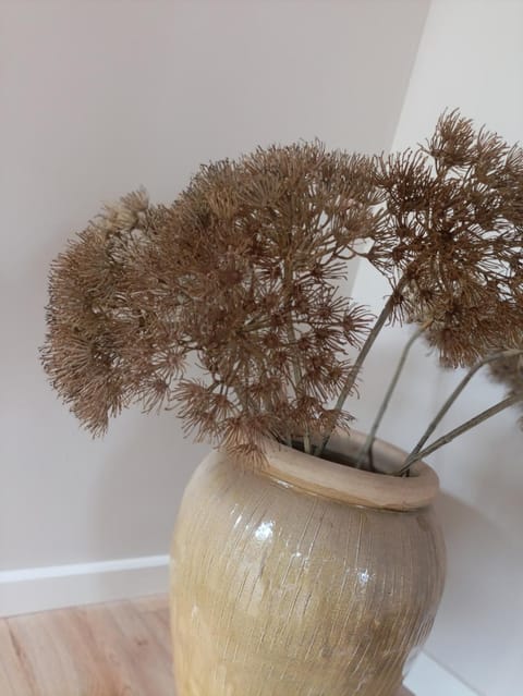 Mediterranean apartment with home theater Apartment in South Holland (province)