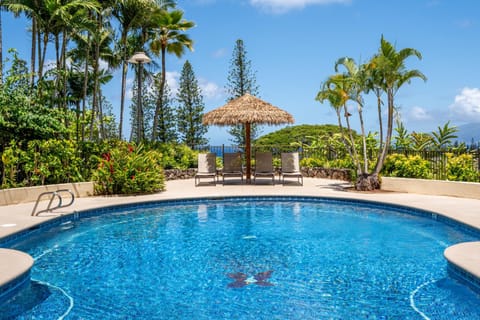 Pool view, sunbed
