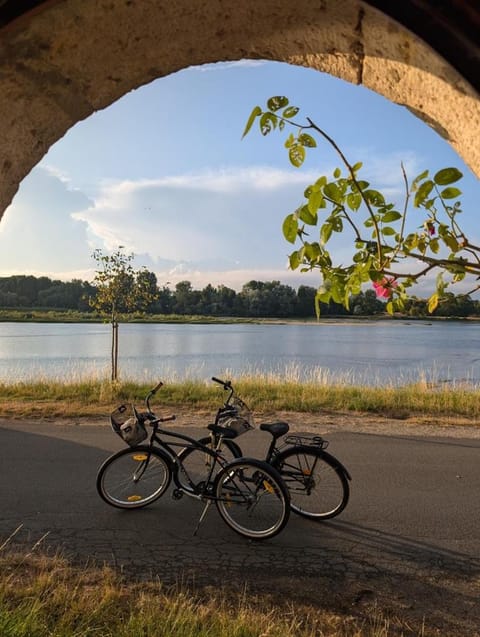 Maison de marinier les pieds dans l'eau face à la Loire House in Centre-Val de Loire