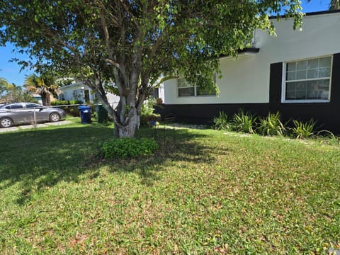 Little Wynwood Oasis House in Miami