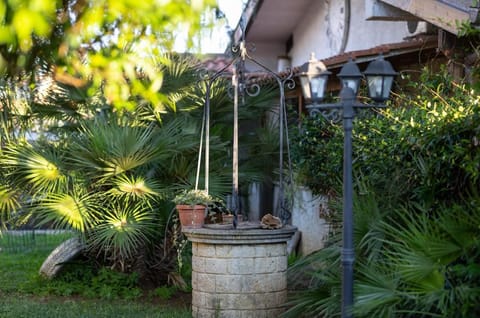 Spring, Garden, Garden view