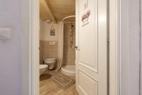 Shower, Toilet, Bathroom, bidet