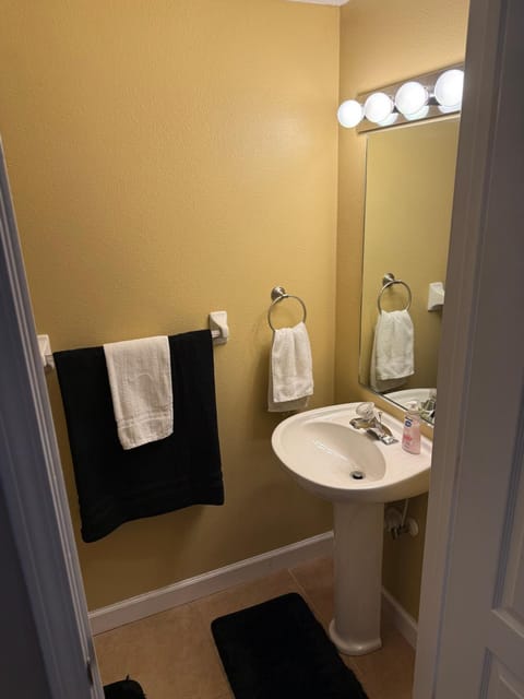 Wesley Chapel Hidden Gem House in Wesley Chapel