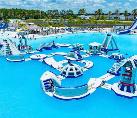 Wesley Chapel Hidden Gem House in Wesley Chapel