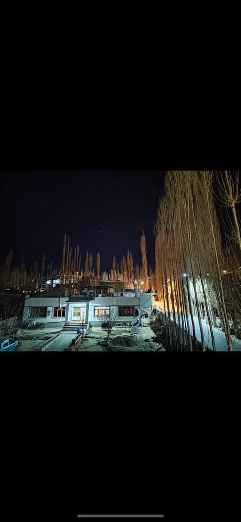 Night, Natural landscape, Garden