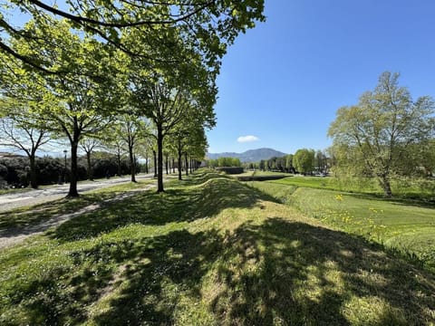 Il Cervo in Città Apartment in Capannori