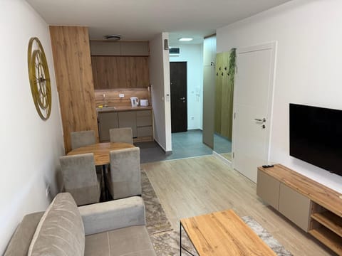 Communal lounge/ TV room, TV and multimedia, Kitchen or kitchenette, Living room, Seating area, Dining area