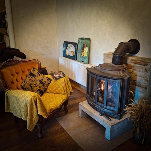 Nature Lovers House Apartment in Lithuania