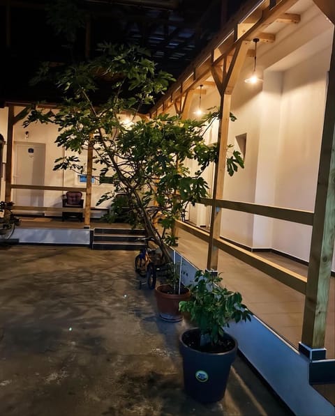 Studio Gala Apartment in Serbia