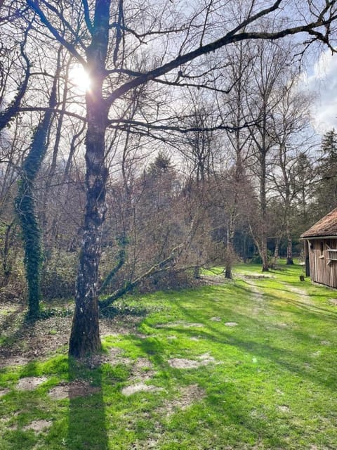 Spring, Natural landscape, Garden, On site, Seasons, Time of day