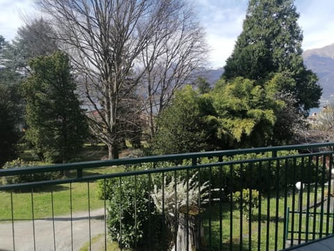 Natural landscape, Garden