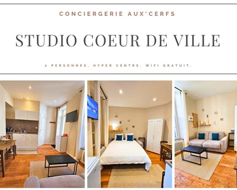 Aux'Cerfs - Studio coeur de ville Apartment in Bourgogne-Franche-Comté