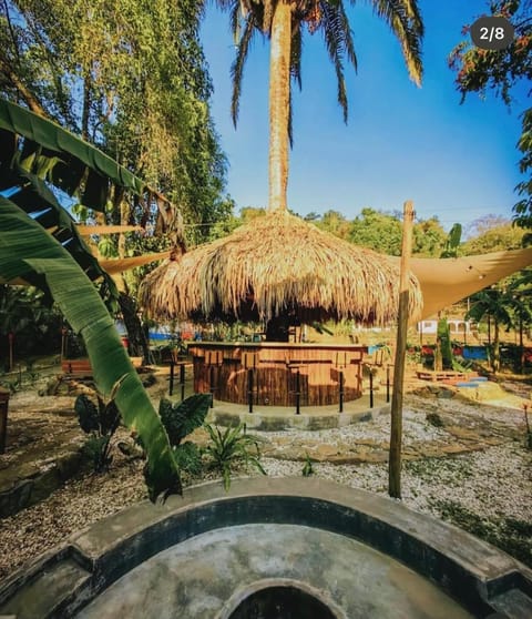 Garden, Garden view